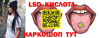 индика Обнинск